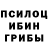 Галлюциногенные грибы Psilocybine cubensis cole 70