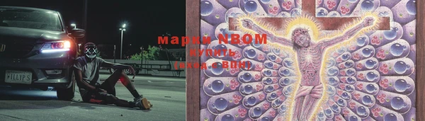 амф Протвино