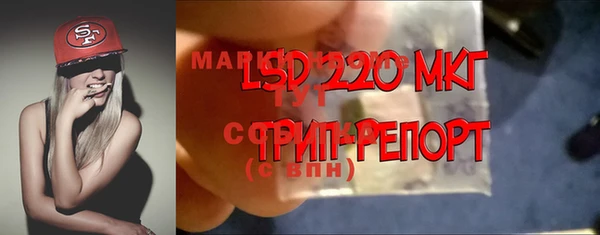 дмт Валдай