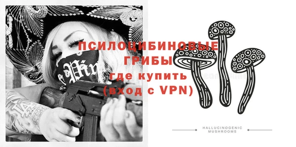 амф Протвино