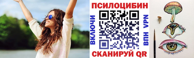omg Тюкалинск Псилоцибиновые грибы GOLDEN TEACHER